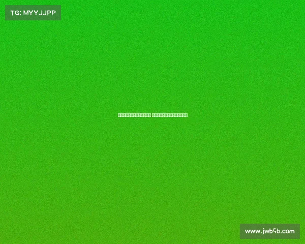 纽卡计划涨薪续约利夫拉门托 曼城继续关注并密切观察他动向